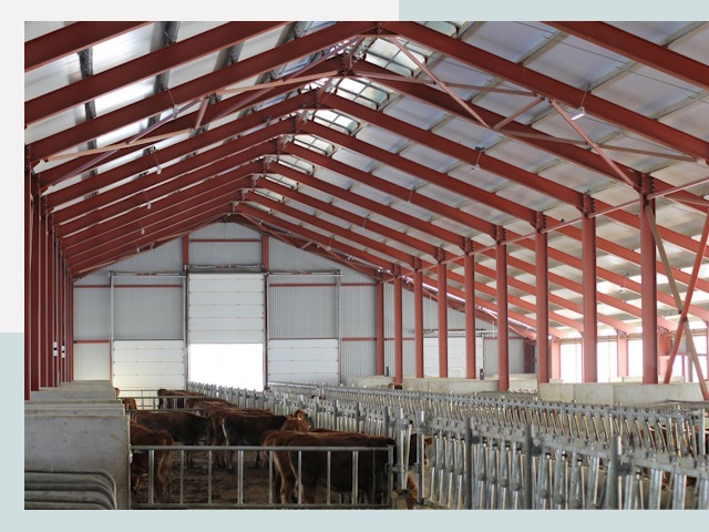 Строительство коровников в Прокопьевске