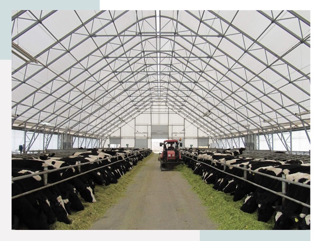 Тентовые коровники в Прокопьевске от 620 руб. - Надежно и доступно