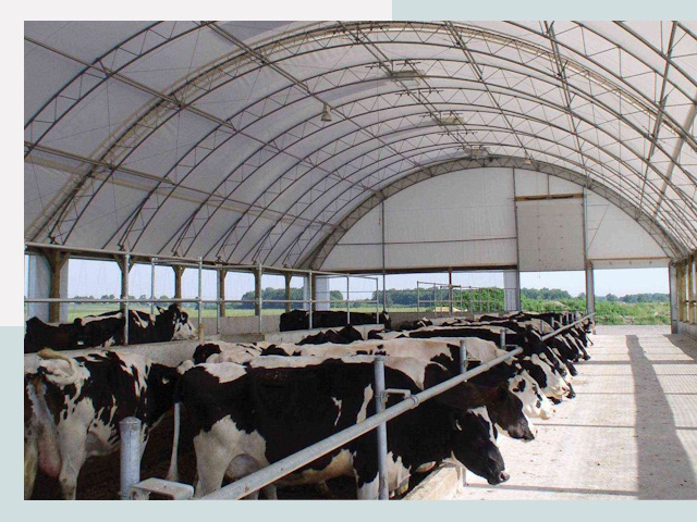 Тентовые коровники в Прокопьевске